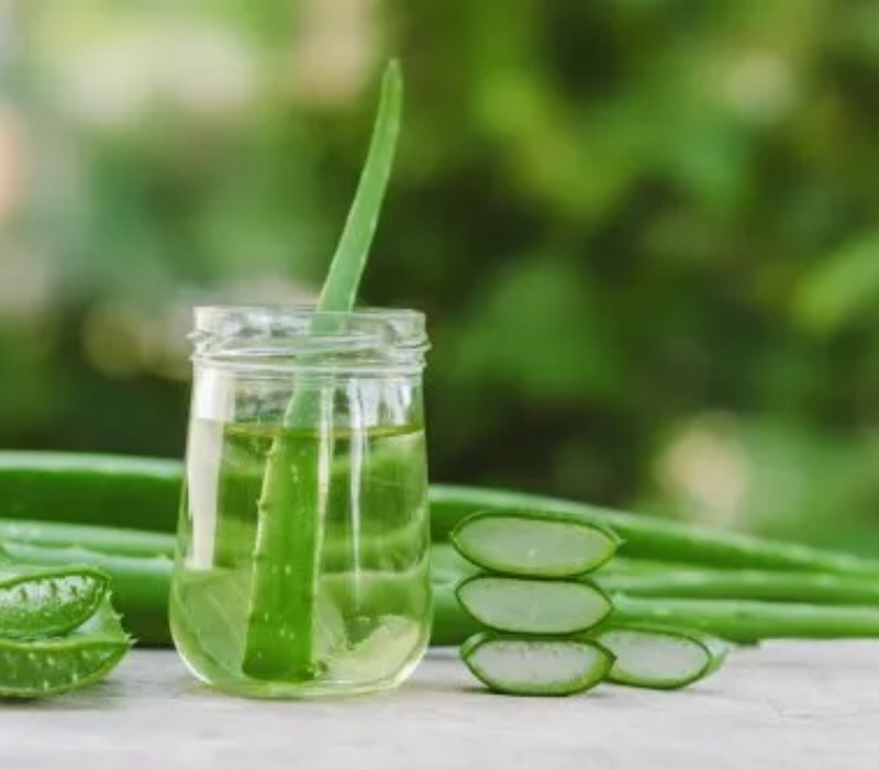 Aloe Vera Cooler